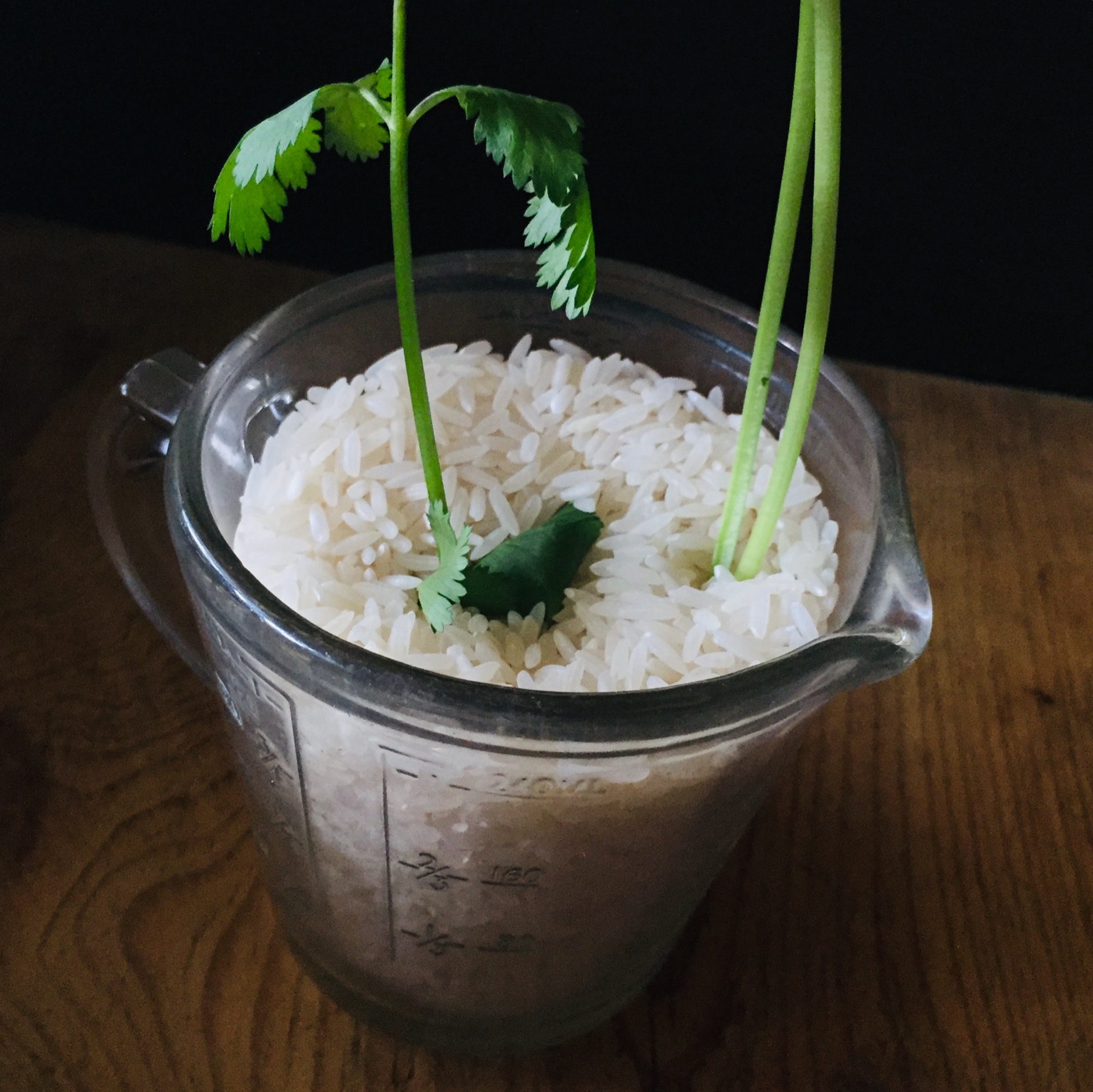 Arroz Chino